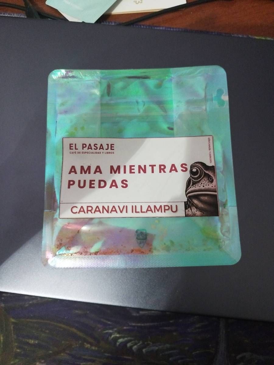 El Pasaje - Renacuajo Ama mientras puedas