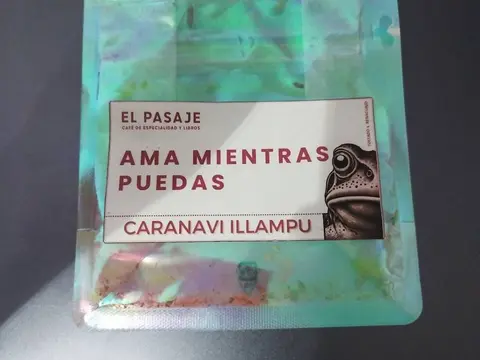 El Pasaje - Renacuajo Ama mientras puedas
