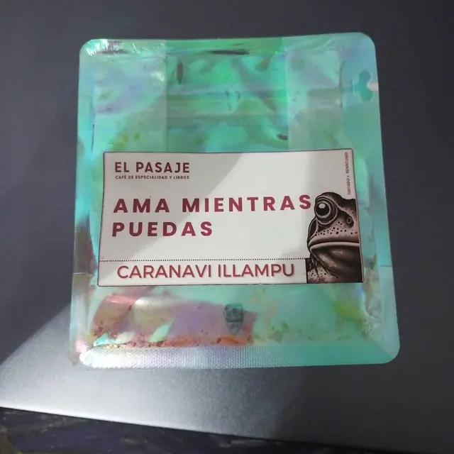 El Pasaje - Renacuajo Ama mientras puedas