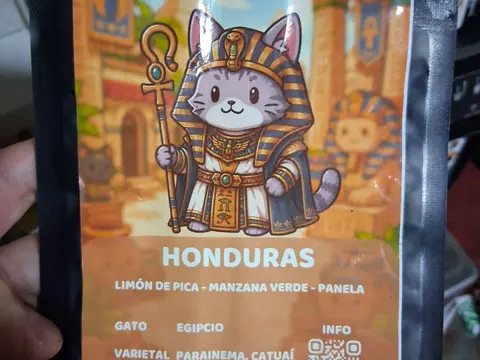 Aura Coffee Roasters Gato Egipcio (Honey)