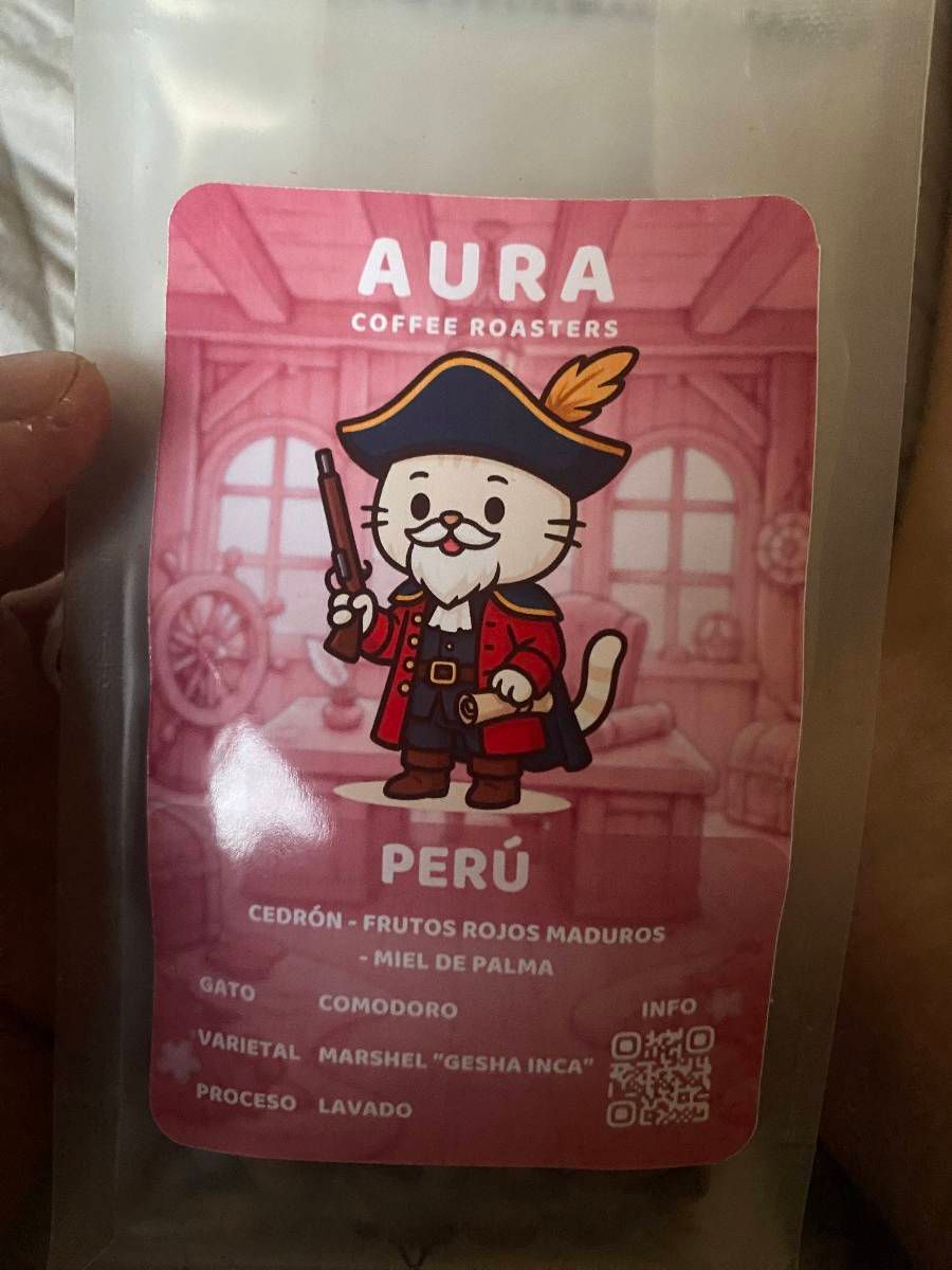 Aura Coffee Roasters Gato Comodoro