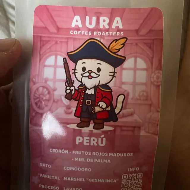 Aura Coffee Roasters Gato Comodoro