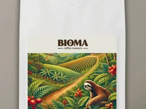 Bioma Coffee Roasters COSTA RICA Colibrí